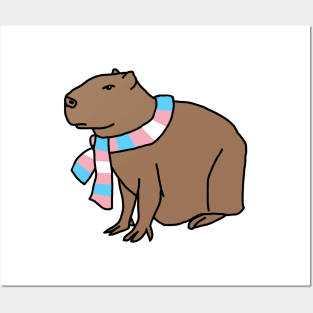 Capybara and Transgender Pride Flag Scarf Posters and Art